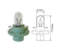 Plastic socket bulb