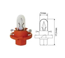 Plastic socket bulb