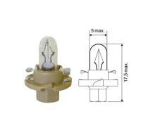 Plastic socket bulb