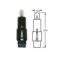 Plastic socket bulb