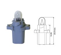 Plastic socket bulb