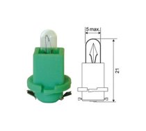 Plastic socket bulb