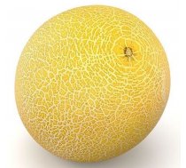 Melone Galia 2.šķira 1gab