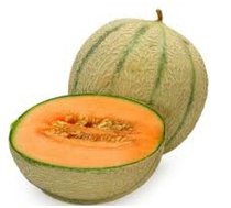 Melone Cantalupe mazā 2.šķira 1gab