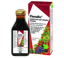 Floradix uztura bagātinātājs Dzelzs šķīdums 250ml