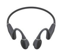 QCY Earphones QCY T25 (dark grey)  Earphones QCY T25 (dark grey)