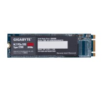 Gigabyte , GP-GSM2NE8256GNTD , 256 GB , SSD form factor , SSD interface M.2 NVME , Read speed 1200 MB/s , Write speed 800 MB/s