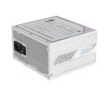 GIGABYTE AORUS ELITE P850W 80+ Platinm Modular ICE PSU