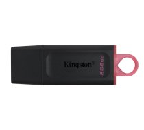 MEMORY DRIVE FLASH USB3.2/256GB DTX/256GB KINGSTON