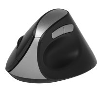 Rapoo EV250 Melns Bezvadu ergonomiskā pele