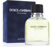 Dolce & Gabbana Pour Homme EDT 125ml 737052074450