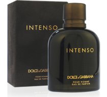 Dolce & Gabbana Pour Homme Intenso EDP 125ml 737052783451