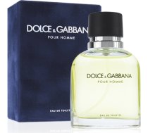Dolce & Gabbana Pour Homme EDT 75ml 737052074443