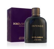 Dolce & Gabbana Pour Homme Intenso EDP 200ml 737052872094