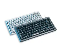 CHERRY Compact G84-4100 light grey CH keyboard USB + PS/2 ( G84-4100LCMCH-0 4025112041860 )