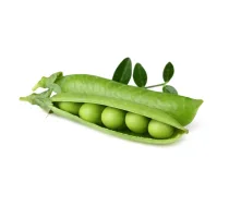 Click Grow DWARF PEA PLANT PODS ( 1248067 SGR54X3 4742793008998 )
