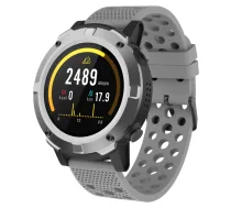 Denver SW-660 3.3 cm (1.3") AMOLED Digital Touchscreen Black Grey GPS (satellite) ( T-MLX39448 5706751047107 )