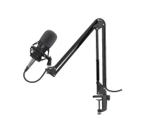 GENESIS Radium 300 XLR Black Studio microphone ( 316943 NGM-1695 5901969426656 )