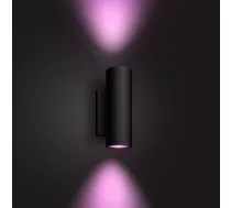Philips Hue White and colour ambience Appear Outdoor wall light ( 17463/30/P7 8718696174371 915005842801 )