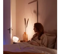 Philips Hue White and colour ambience Iris table lamp ( 8719514264465 929002376101 )