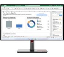 Lenovo LENOVO ThinkVision P27h-30 27inch TS