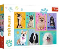 Trefl Puzzle 100 PCS Dogs world 16421