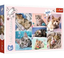 Trefl Puzzles 100 elements Cats world
