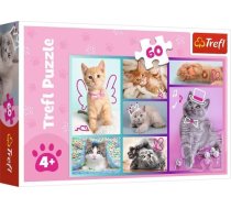 Trefl Puzzle 60 elements Cute kittens