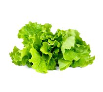 Click and Grow - Smart Garden Refill 3-pack - Green Lettuce (SGR32X3)