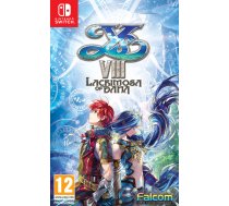 Ys VIII (8): Lacrimosa of DANA – Nintendo Switch