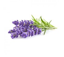Click and Grow - Smart Garden Refill 3-pack - Lavender (SGR30X3)