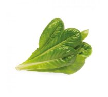 Click and Grow - Smart Garden Refill 3-pack - Romaine Lettuce (SGR50X3)