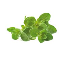 Click and Grow - Smart Garden Refill 3-pack Oregano