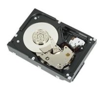 Dell 1TB 7.2K RPM SATA 6Gbps 512n 3.5in Cabled Hard Drive CK (400-BGEB)