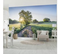 Fototapetes Komar Stefan Hefele A New Day in Paradise uz flizelīna pamata 400x250cm, 10m2 (4 strēmeles) SH084-VD4