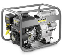Benzīna Ūdens Sūknis Karcher WWP 45 (1.042-210.0)
