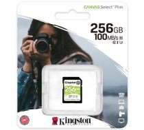 Atmiņas Karte Kingston SDS2/256GB SD 256GB, 100MB/s, Balta/Melna/Zaļa