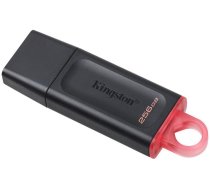 USB Zibatmiņa Kingston DataTraveler Exodia 3.2, 256GB, Melna (DTX/256GB)