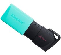 USB Zibatmiņa Kingston DataTraveler Exodia M 3.2, 256GB, Melna/Zila (DTXM/256GB)