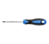 Skrūvgriezis Torx T20, 100 mm, S2 tērauds
