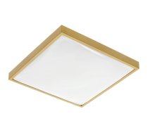 LED gaismeklis ALTAR, 24 W, 1680 lm, 4000K, AC180-250V, PF>0.5, IP44, 295x295 mm, zelts