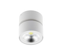 LED gaismeklis BIANCO, 15 W, 1500 lm, 4000K, IP20, apaļš, balts