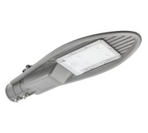 LED ielu gaismeklis PARKER III, 30 W, 3000 lm, 4000K, AC220-240V, IP65, pelēks