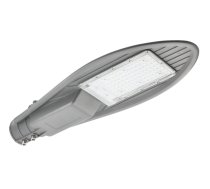LED ielu gaismeklis PARKER III, 80 W, 8000 lm, 4000K, AC220-240V, IP65, pelēks
