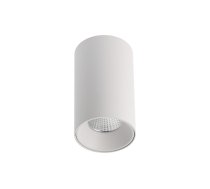 LED griestu gaismeklis PRIME, 10 W, 1000 lm, 4000K, AC220-240V, IP20, 36°, balts