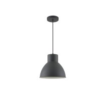 Griestu gaismeklis DANTE,2119,AC220-240V,50/60Hz,1*E27, maks.40W, IP20, ś.27,5cm, viens, melns