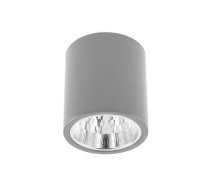 Griestu gaismeklis DRAGO, E27, maks. 60 W, IP20, 172x180 mm, pelēks