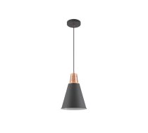 Griestu gaismeklis GIANNI,9974,AC220-240V,50/60Hz,1*E27, maks.40W,IP20, Diametrs 22cm, viens, melns/zelts
