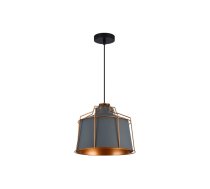 Griestu gaismeklis GOA , 3550,AC220-240V,50/60Hz,1*E27, IP20, Diametrs 32 CM, viens, pelēks
