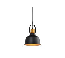 Griestu armatūra MONROE,6958,AC220-240V,50/60Hz,1*E27, IP20, Diametrs 22 CM,vienvietīga,melna/zelts